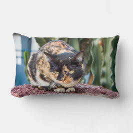 Maspalomas Cat Kussen
