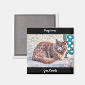 Maspalomas Cat Magneet (Voorkant / Achterkant)