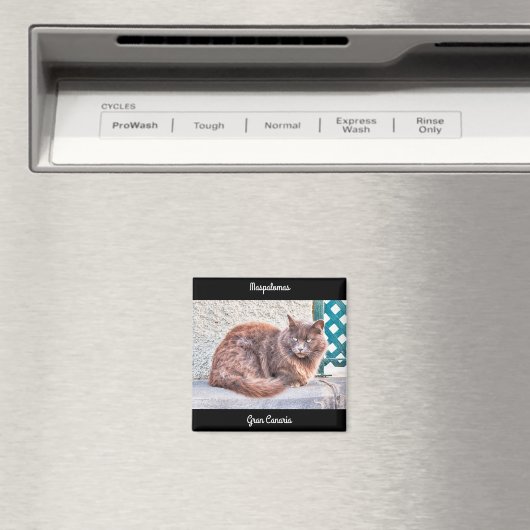 Maspalomas Cat Magneet (Insitu (Vaatwasser))