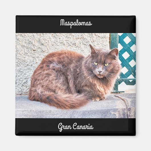 Maspalomas Cat Magneet (Voorkant)