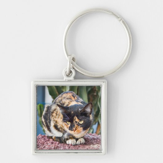 Maspalomas Cat Sleutelhanger (Voorkant)