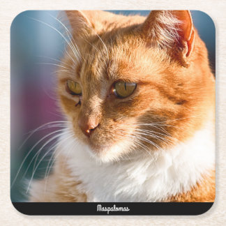 Maspalomas Cat Vierkante Kartonnen Onderzetter