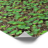 Masquer en Shamrock - Impression 3D masquée (Coin)