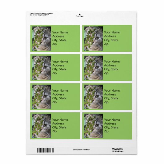 Masquer Kitten Étiquettes de adresse (Feuille entière)