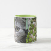 Masquer Kitten Mug (Centre)