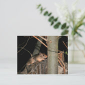 Masquer la carte postale (Debout devant)