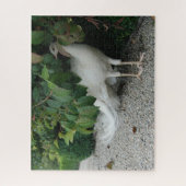 Masquer le puzzle blanc Peacock (Vertical)