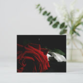 Masquerade Briefkaart (Staand voorkant)