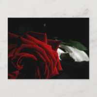 Masquerade