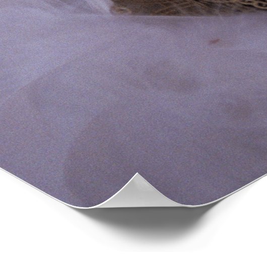 Masquerade Poster (Hoek)