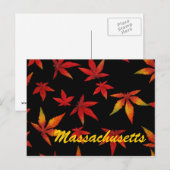 Massachusetts Autumn Leaves Briefkaart (Voorkant / Achterkant)