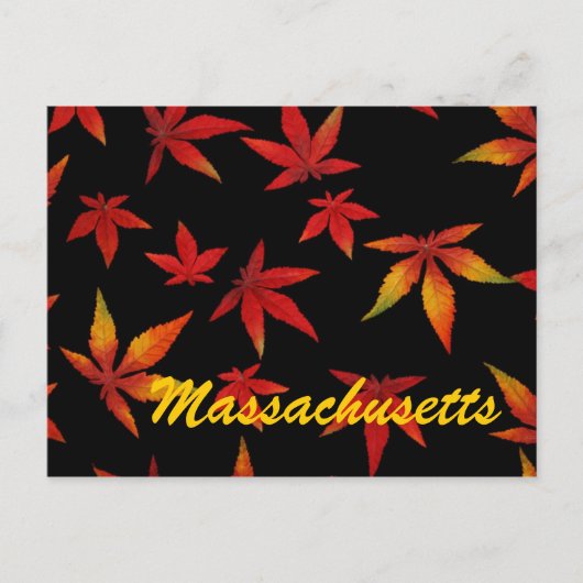 Massachusetts Autumn Leaves Briefkaart (Voorkant)