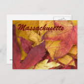 Massachusetts Autumn Leaves Briefkaart (Voorkant / Achterkant)