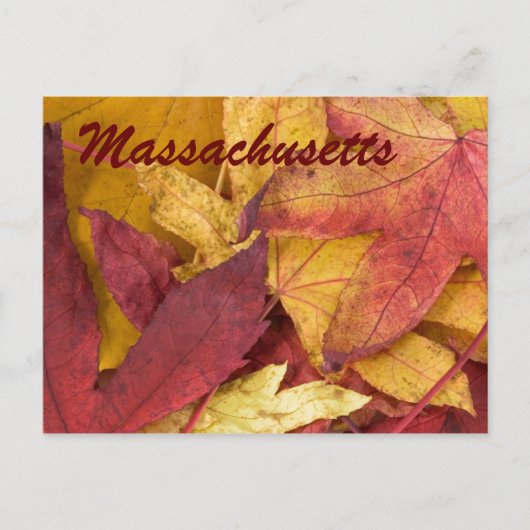 Massachusetts Autumn Leaves Briefkaart (Voorkant)