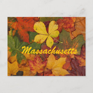 Massachusetts Autumn Leaves Briefkaart