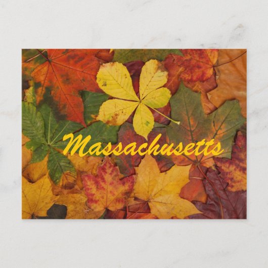 Massachusetts Autumn Leaves Briefkaart (Voorkant)