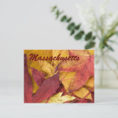 Massachusetts Feuilles Automne Carte Postale (Debout devant)
