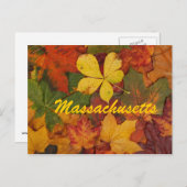 Massachusetts Feuilles Automne Carte Postale (Devant / Derrière)