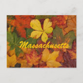 Massachusetts Feuilles Automne Carte Postale (Devant)