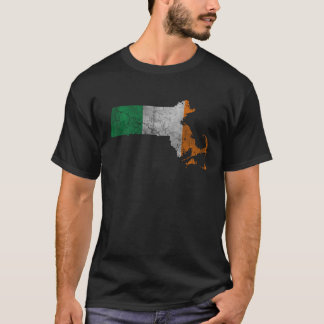 Massachusetts Irish Flag St Patrick's Day Mannen D T-shirt
