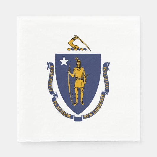 Massachusetts Staatsvlag Servet (Voorkant)