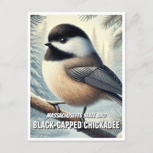 Massachusetts State Bird Chickadee met zwarte kap Briefkaart