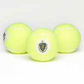 Massachusetts State Flag Tennisballen (Multi)