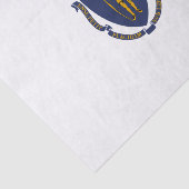 Massachusetts State Flag Tissuepapier (Detail)