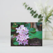 Massachusetts State Flower: Mayflower Briefkaart (Staand voorkant)