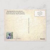 Massachusetts State House in Boston Briefkaart (Achterkant)