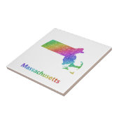 Massachusetts Tegeltje (Zijkant)