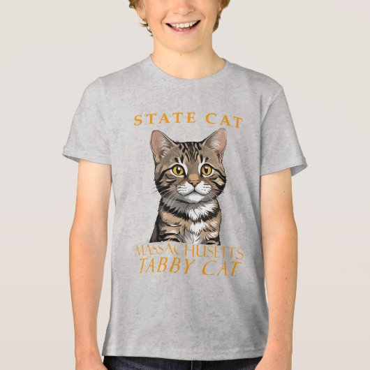 Massachusetts Territory Kat De Tabby Kat Tri-Blend Shirt (Voorkant)