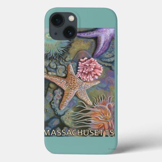 Massachusetts Tidepool Scene Case-Mate iPhone Case (Achterkant)