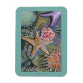 Massachusetts Tidepool Scene Magneet (Verticaal)