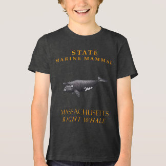Massachusetts Zeezoogdier De Noordkalkoenwalvis Tri-Blend Shirt