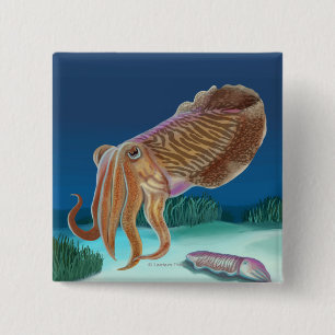 MassachusettsCuttlefish Scene Vierkante Button 5,1 Cm