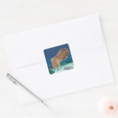 MassachusettsCuttlefish Scene Vierkante Sticker (Envelop)