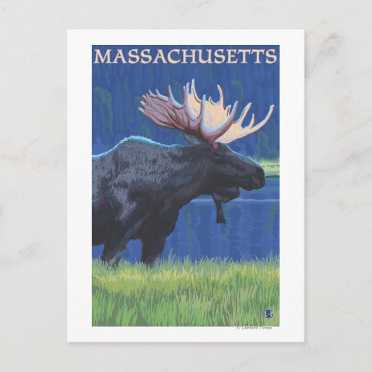 MassachusettsMoose in de Moonlight Briefkaart (Voorkant)