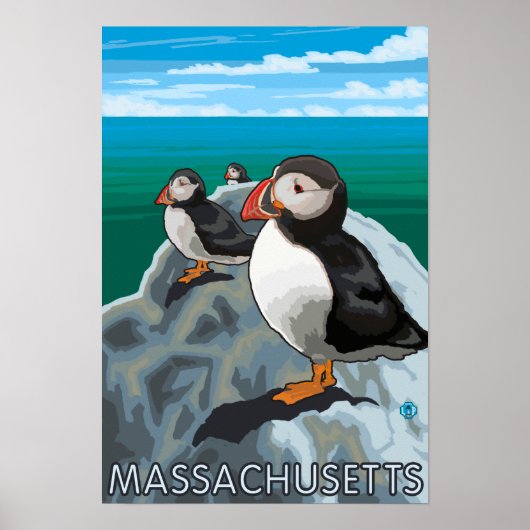MassachusettsPuffins Scene Poster (Voorkant)