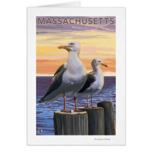 MassachusettsScène des Mouettes de Mer