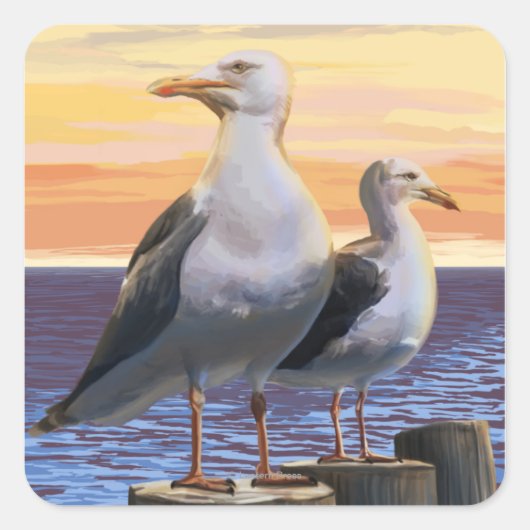 MassachusettsSea Gulls Scene Vierkante Sticker (Voorkant)