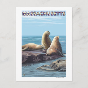 MassachusettsSea Lions Scene Briefkaart
