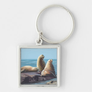 MassachusettsSea Lions Scene Sleutelhanger