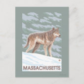 MassachusettsWolf Scene Briefkaart (Voorkant)