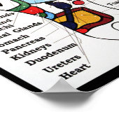 Massage Thai Foot ~ Reflexology-kaart Poster (Hoek)