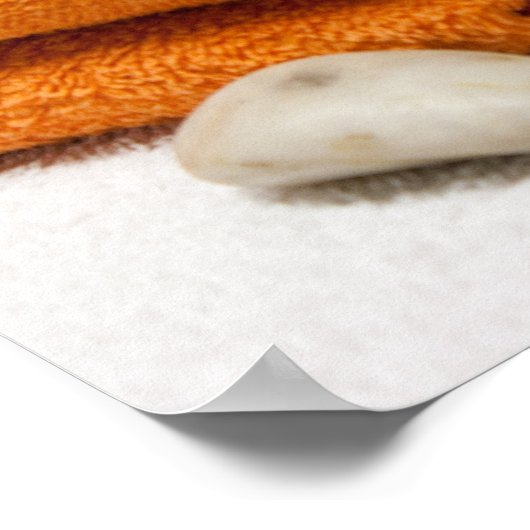 Massagetherapisten Poster (Hoek)