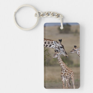Massai-giraffe (Giraffe Tippelskirchi) Sleutelhanger