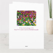 MASSE DE PANSIERS/GRANDE CARTE D'ANNIVERSAIRE DU G (Dos)