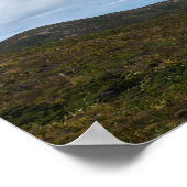 Massive Cape Reinga Panorama Poster (Hoek)
