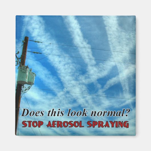 Massive Chemtrail Grid Magneet (Voorkant)